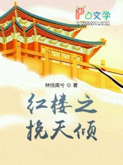 红楼之挽天倾